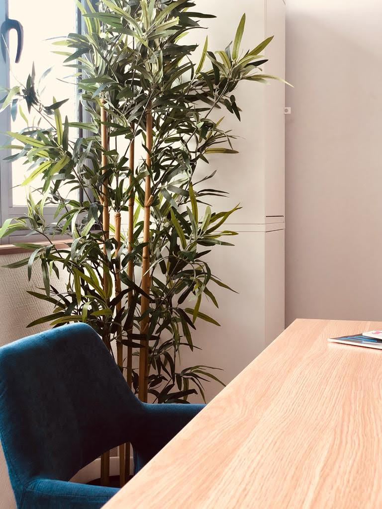Vaugirard - Bureau avec plante